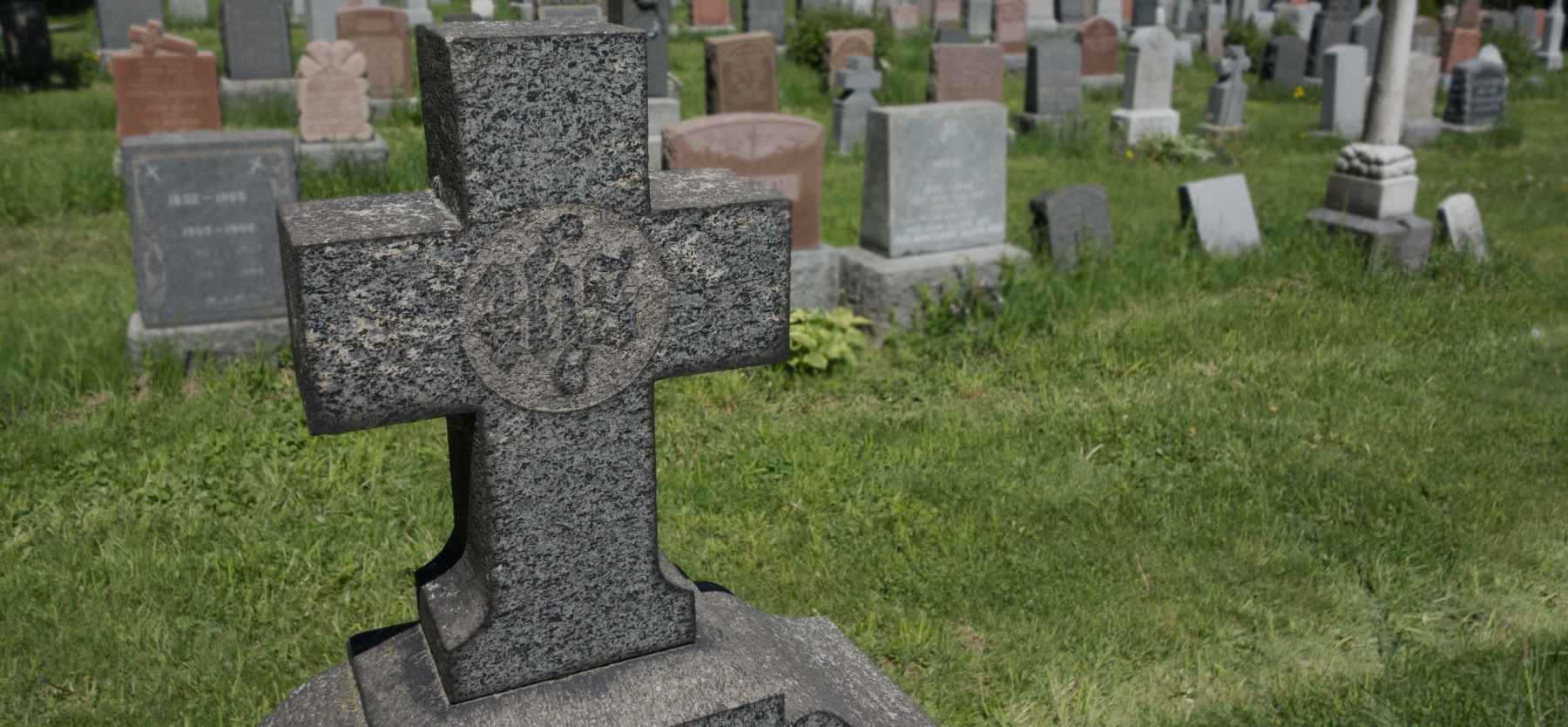 Home Page Header Image One