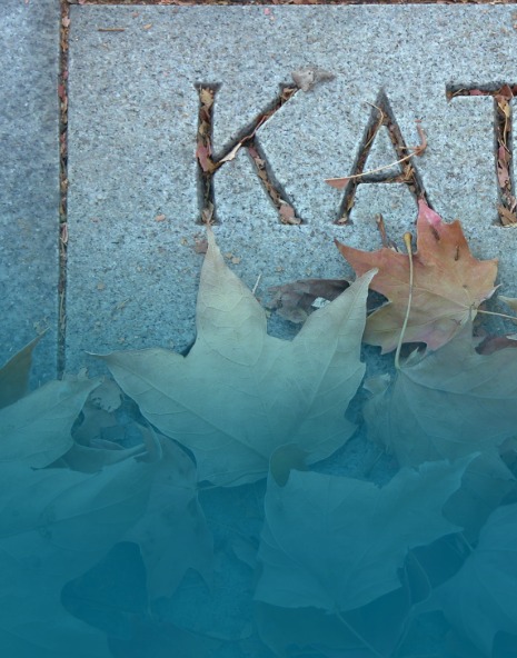 Link to find a grave.